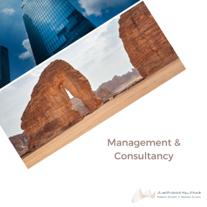 Management & Consultancy